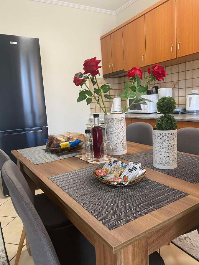 Bakopoulos Resort.Ενα Όμορφο Διαμέρισμα Με Τζάκι Tríkala Kültér fotó